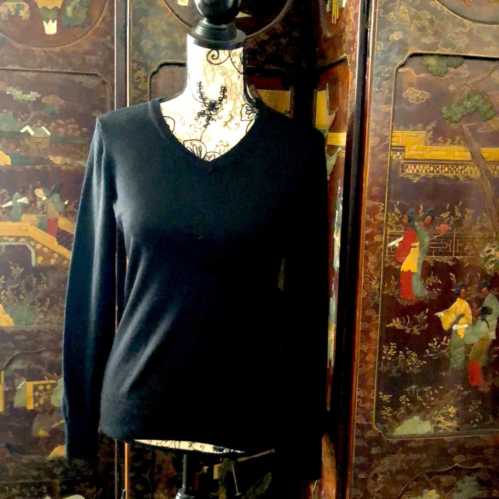 Men’s small V-Neck Pullover